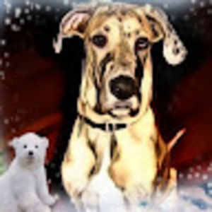 Meet your Posher, Robin